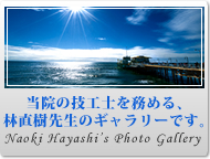 Naoki Hayashi’s Photo Gallery